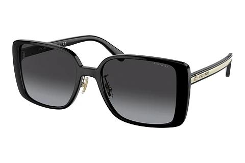 Solbriller Coach CH562 (HC8375 50028G)