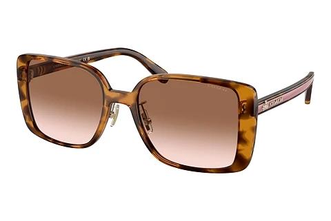 Solbriller Coach CH562 (HC8375 512013)