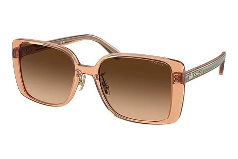 Solbriller Coach CH562 (HC8375 574974)