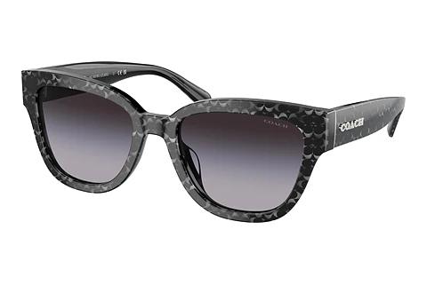 Solbriller Coach CL920 (HC8379U 55208G)