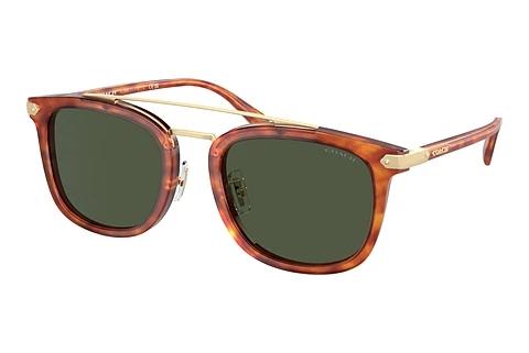 Solbriller Coach CL913 (HC8382 577482)