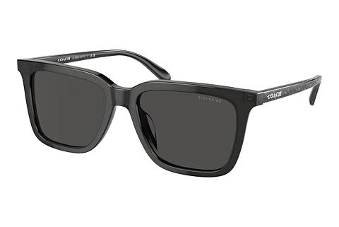 Solbriller Coach CL910 (HC8385U 579387)