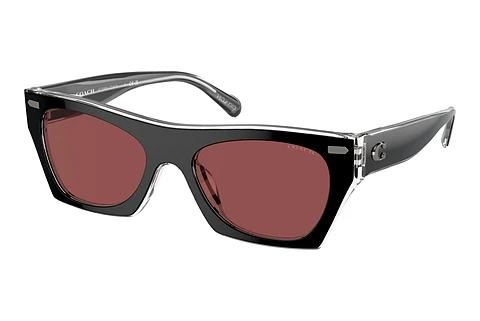 Solbriller Coach CL917 (HC8389U 572875)