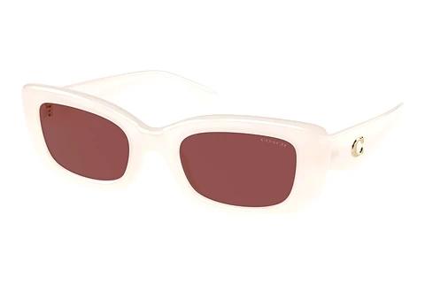 Solbriller Coach CR610 (HC8390U 580575)