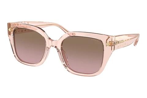 Solbriller Coach CR611 (HC8392U 566814)