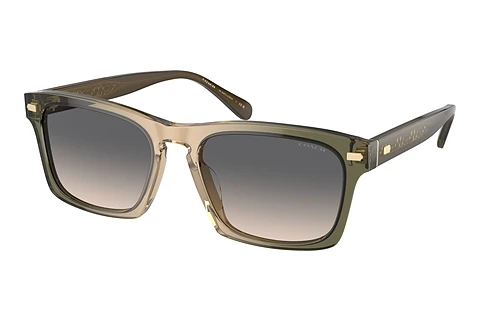 Solbriller Coach CR628 (HC8397U 5797G9)