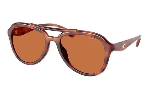 Solbriller Coach CW183 (HC8406U 577473)