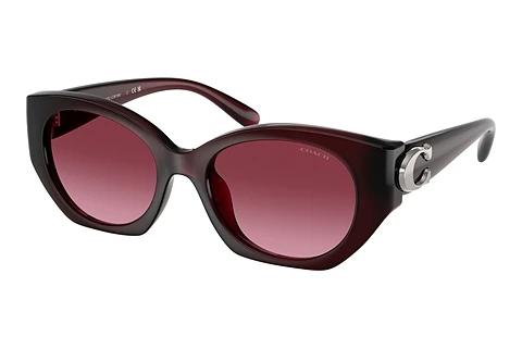 Solbriller Coach CW194 (HC8407U 53938H)