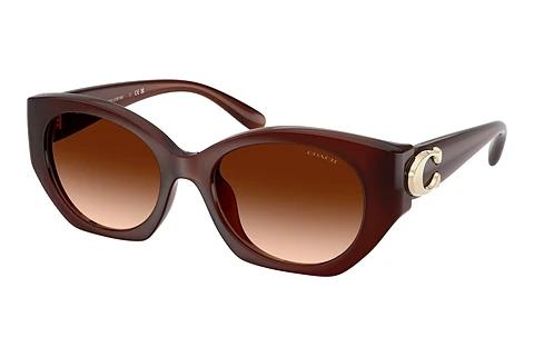 Solbriller Coach CW194 (HC8407U 584174)