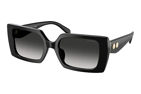 Solbriller Coach CW224 (HC8409U 50023C)