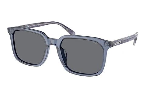Solbriller Coach CW405 (HC8411U 582087)