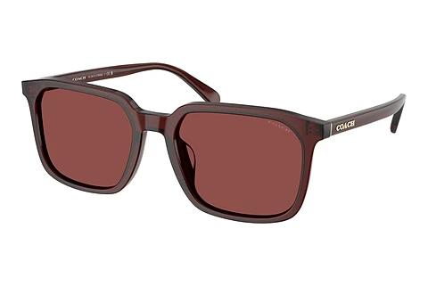 Solbriller Coach CW405 (HC8411U 585075)