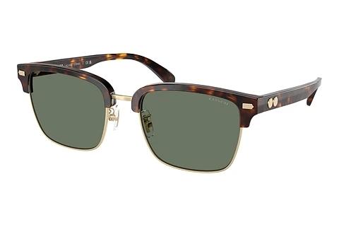Solbriller Coach CW406 (HC8412 51203H)