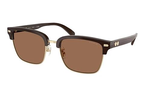 Solbriller Coach CW406 (HC8412 554273)