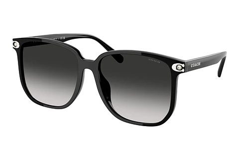 Solbriller Coach CW419 (HC8413BD 50023C)