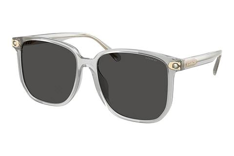 Solbriller Coach CW419 (HC8413BD 561487)