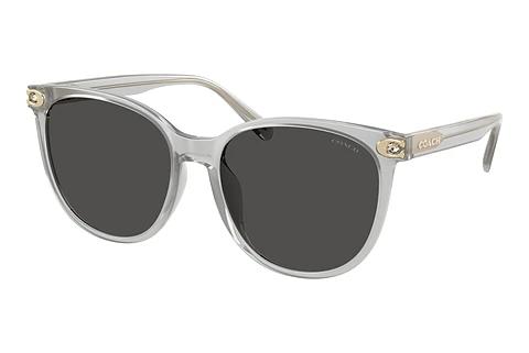 Solbriller Coach CW428 (HC8414BD 561487)