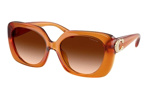 Solbriller Coach CAD33 (HC8422U 564774)