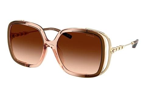 Solbriller Coach CAD80 (HC8423U 576974)