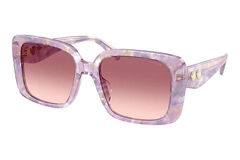 Solbriller Coach CAD54 (HC8424U 58677W)