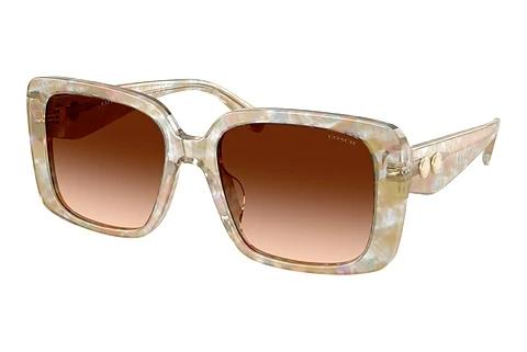 Solbriller Coach CAD54 (HC8424U 586874)