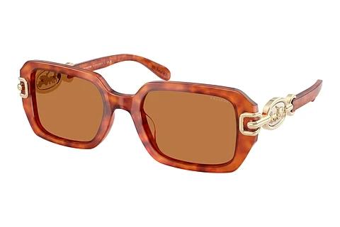 Solbriller Coach CAD74 (HC8425U 577473)