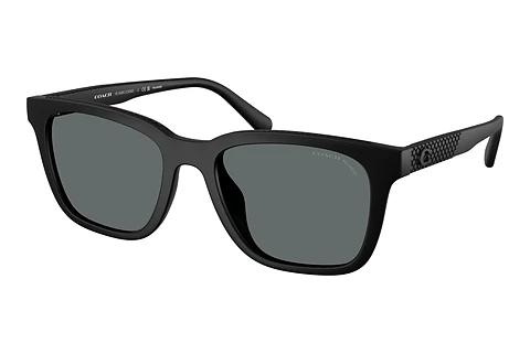 Solbriller Coach CAD81 (HC8426U 500281)