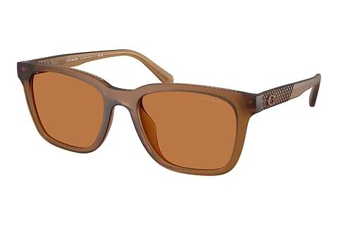 Solbriller Coach CAD81 (HC8426U 587673)