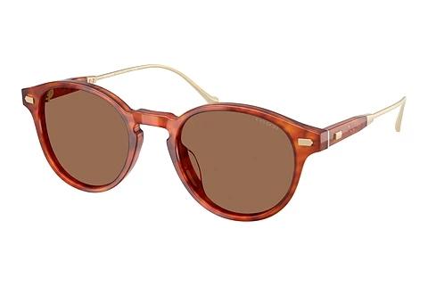 Solbriller Coach CAD83 (HC8428U 577473)