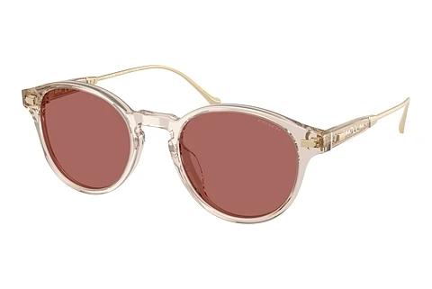 Solbriller Coach CAD83 (HC8428U 58790H)