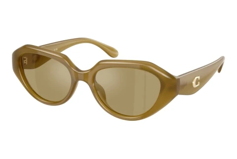 Solbriller Coach CBY77 (HC8433U 590230)