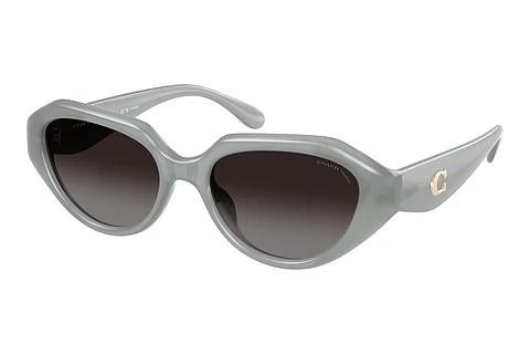 Solbriller Coach CBY77 (HC8433U 5905T3)