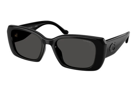 Solbriller Coach CBY82 (HC8435U 500287)