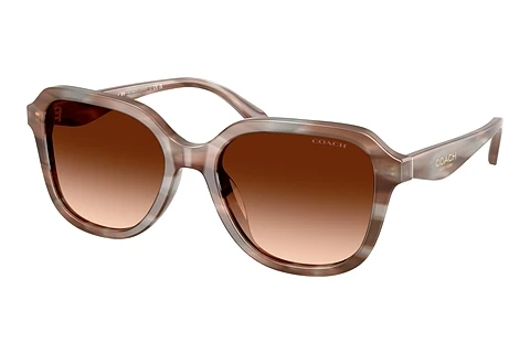 Solbriller Coach CBY87 (HC8437U 590174)