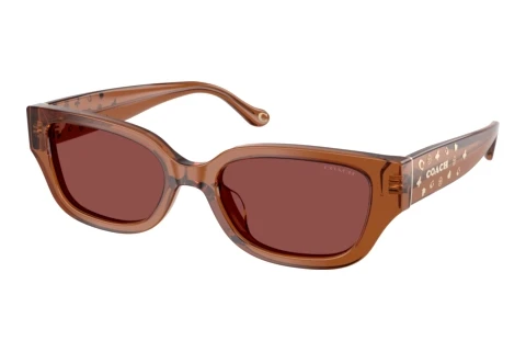 Solbriller Coach CBZ52 (HC8439U 581175)