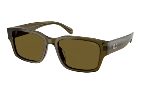 Solbriller Coach CBY96 (HC8441U 591073)