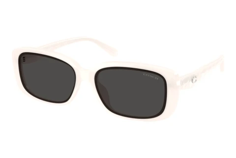 Solbriller Coach CBY86 (HC8444D 592787)