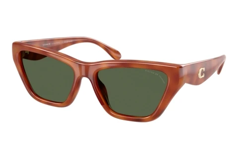 Solbriller Coach CDP33 (HC8449U 57749A)