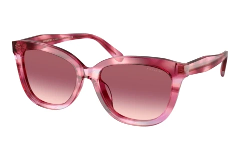 Solbriller Coach CDP53 (HC8453U 59417W)