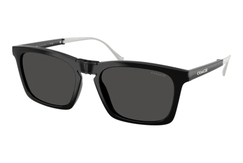 Solbriller Coach CDP54 (HC8455 500287)