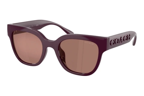 Solbriller Coach CFT88 (HC8460U 59596G)
