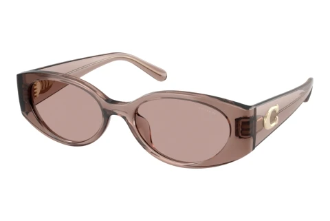 Solbriller Coach CFU06 (HC8462U 59627N)