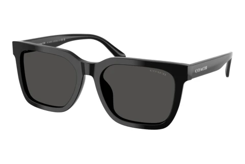 Solbriller Coach CFU12 (HC8466U 500287)