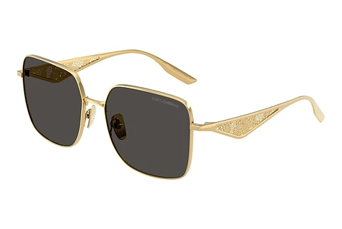 Solbriller Dolce & Gabbana DG2310 02/87