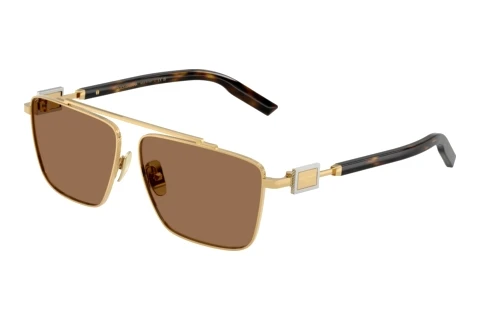 Solbriller Dolce & Gabbana DG2336 02/73