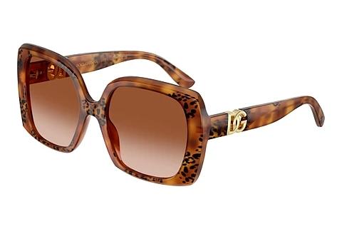 Solbriller Dolce & Gabbana DG4475 338013