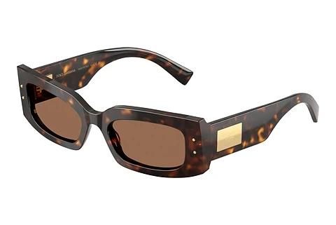 Solbriller Dolce & Gabbana DG4479 502/73