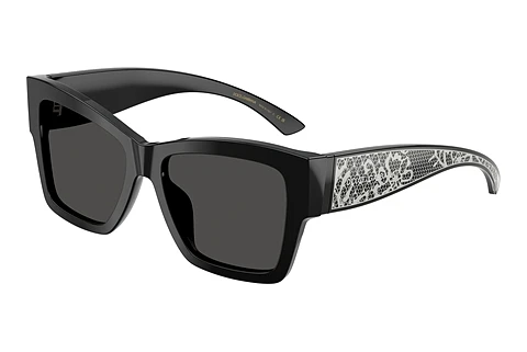 Solbriller Dolce & Gabbana DG4493 501/87