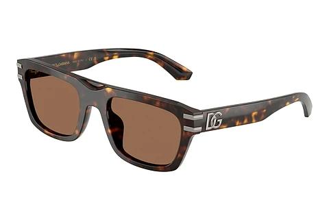 Solbriller Dolce & Gabbana DG4496 502/73