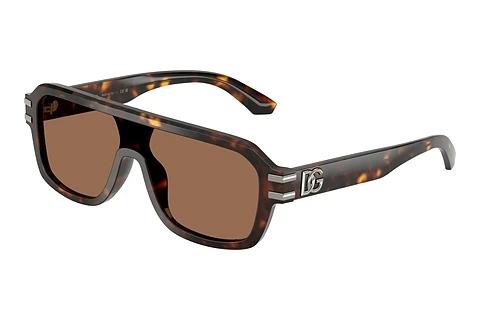 Solbriller Dolce & Gabbana DG4507 502/73